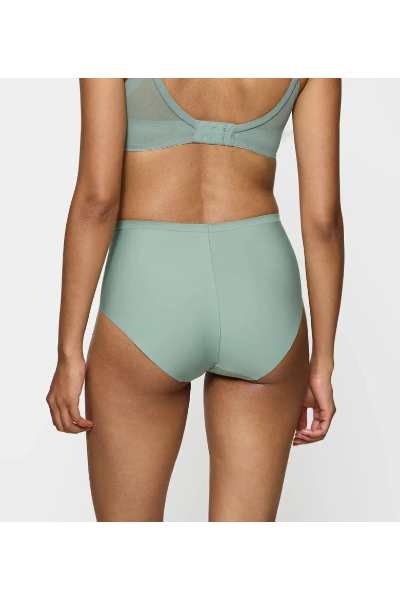Shape Smart High-Waisted Shaping Brief, Alternate, color, Toasted Almond