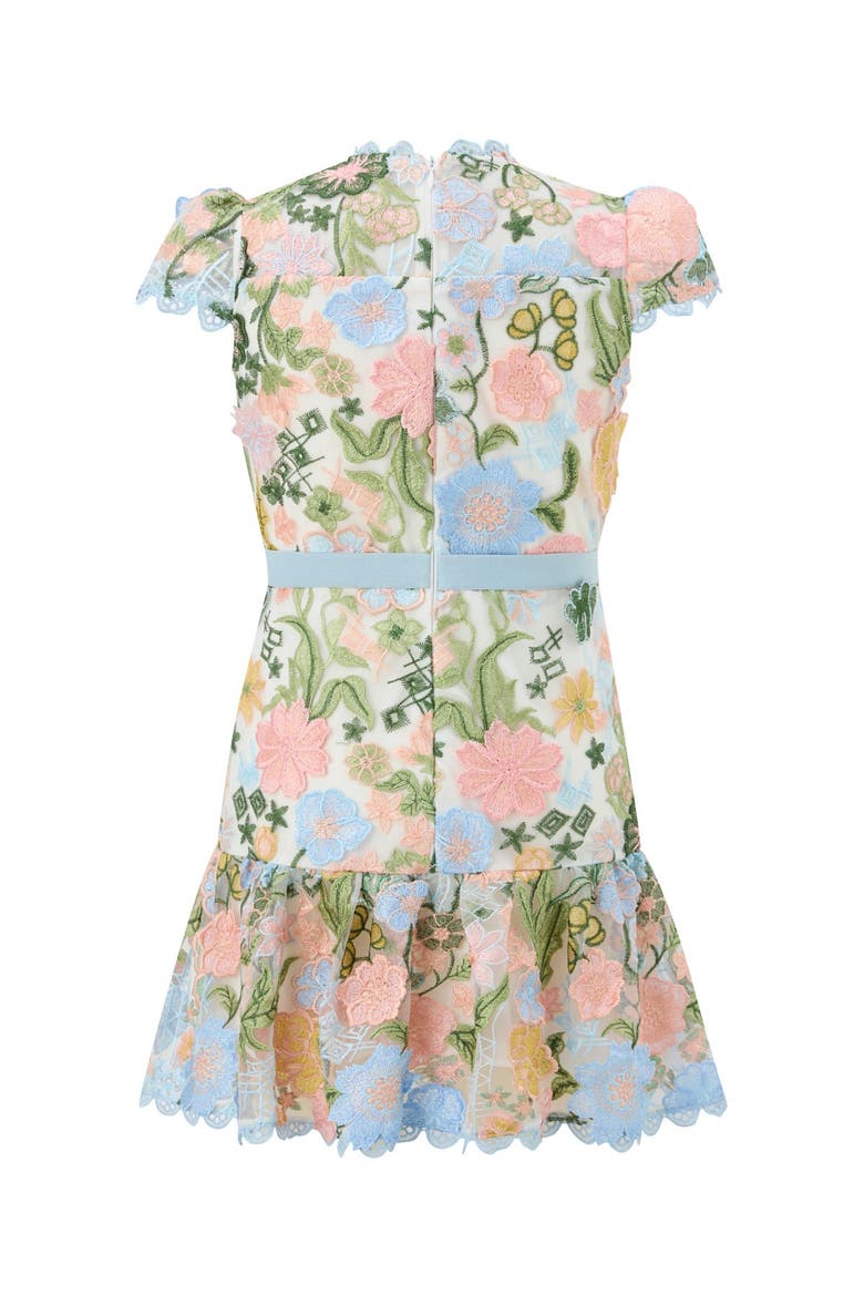 Rosalie Embroidered Mini Dress, Alternate, color, Multi