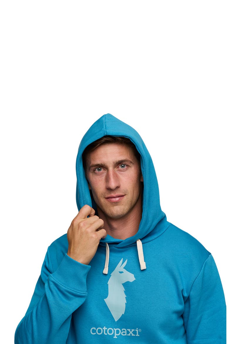 Llama Pullover Hoodie - Men's, Alternate, color, Lake