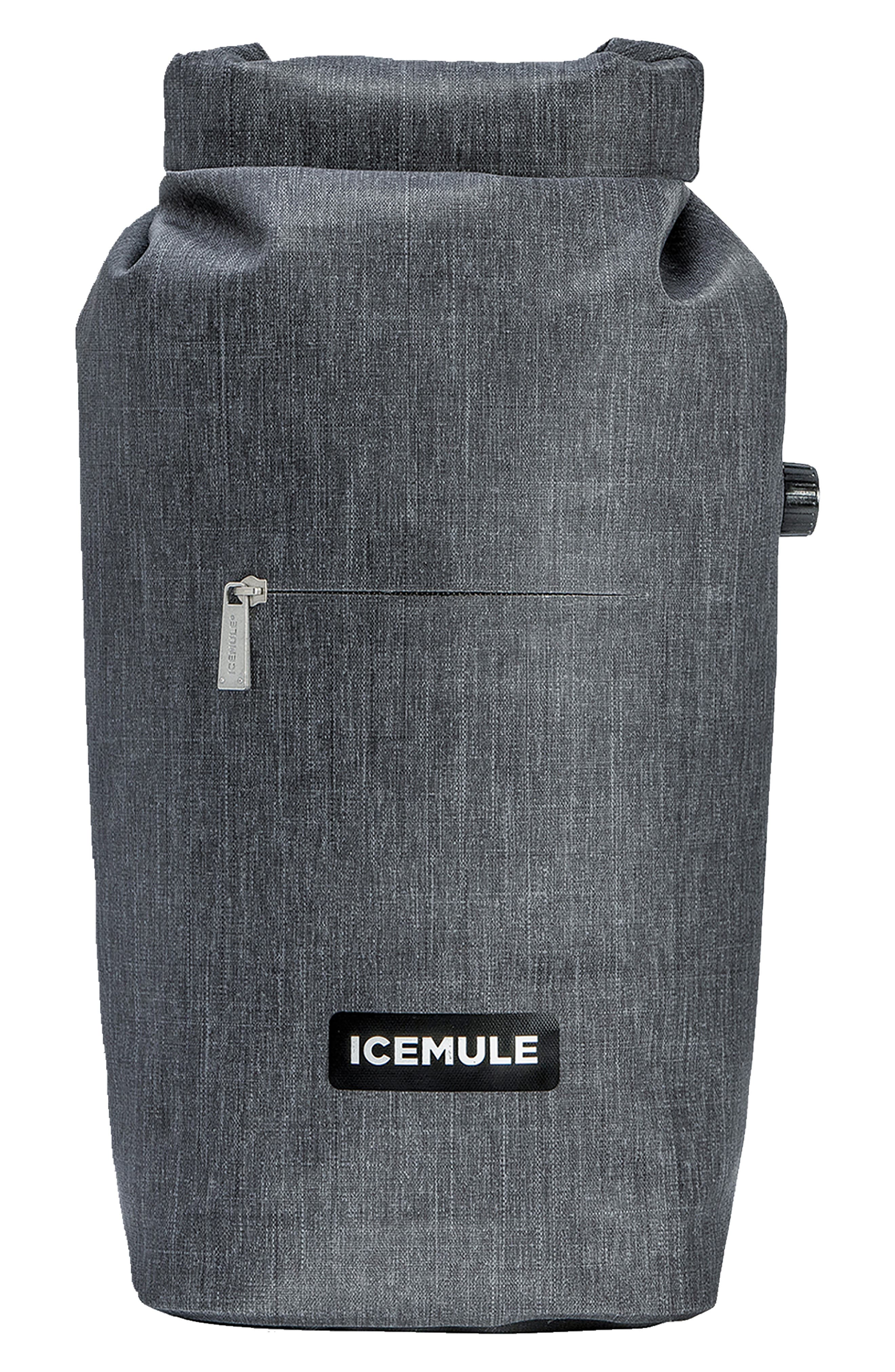 ICEMULE Coolers Jaunt 9L Backpack Cooler, Main, color, 