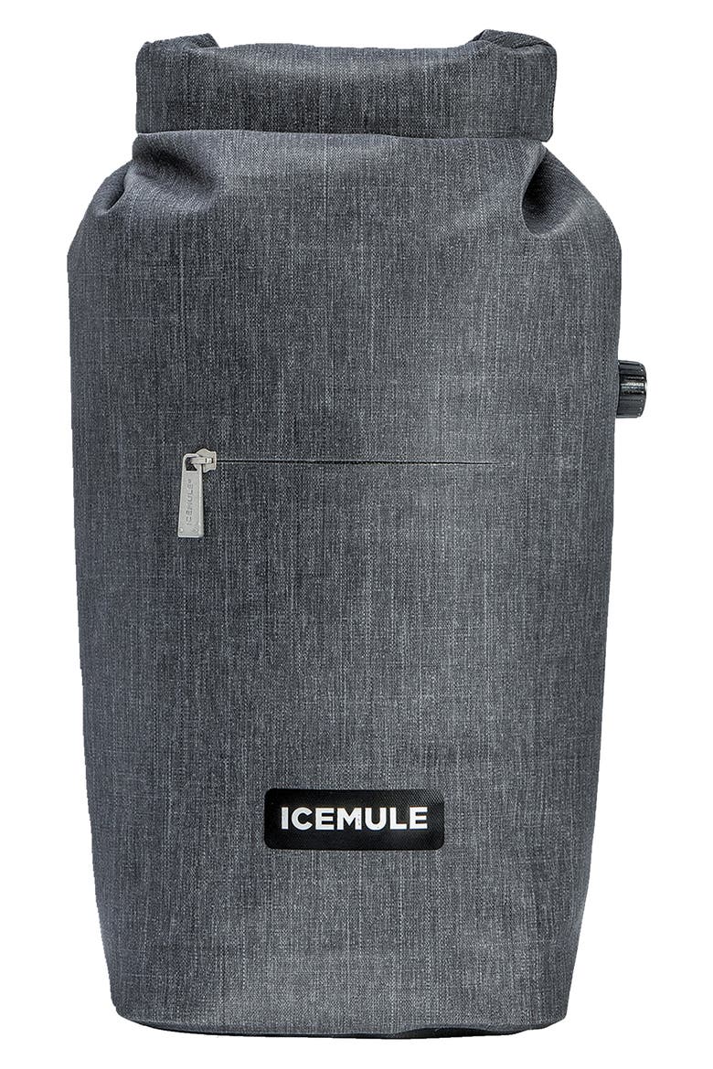 Coolers Jaunt 9L Backpack Cooler, Main, color, SNOW GREY