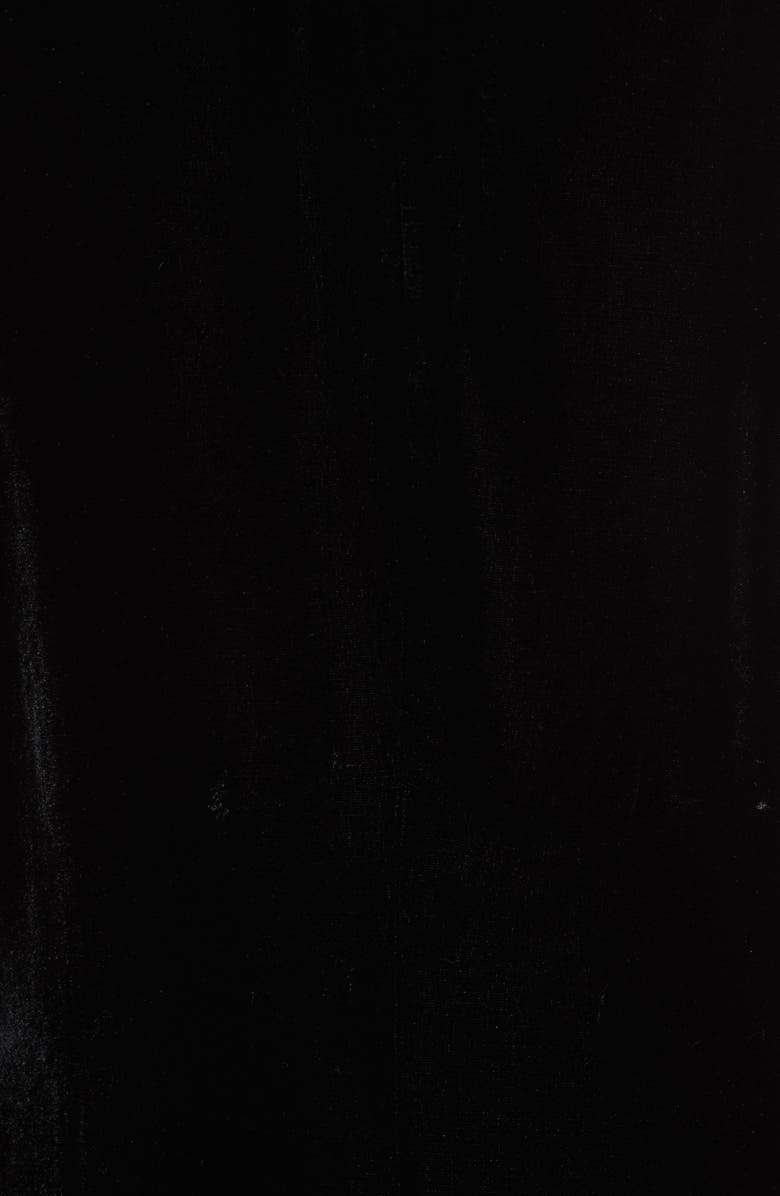 Joie Mehira H Velvet Blazer, Alternate, color, 