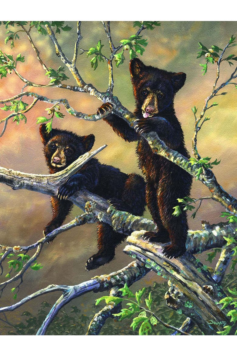 Out on a Limb 300 piece Jigsaw Puzzle for Adults, Alternate, color, Multicolor