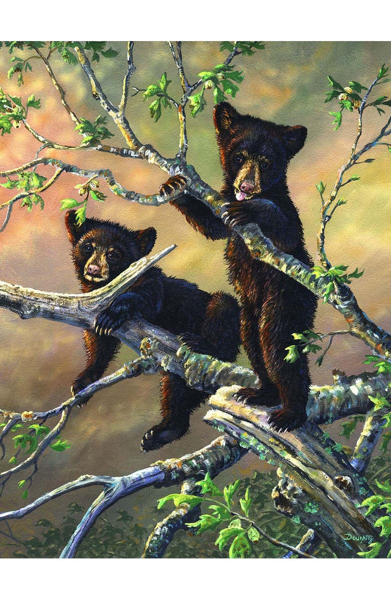 Sunsout Out on a Limb 300 piece Jigsaw Puzzle for Adults, Alternate, color, Multicolor