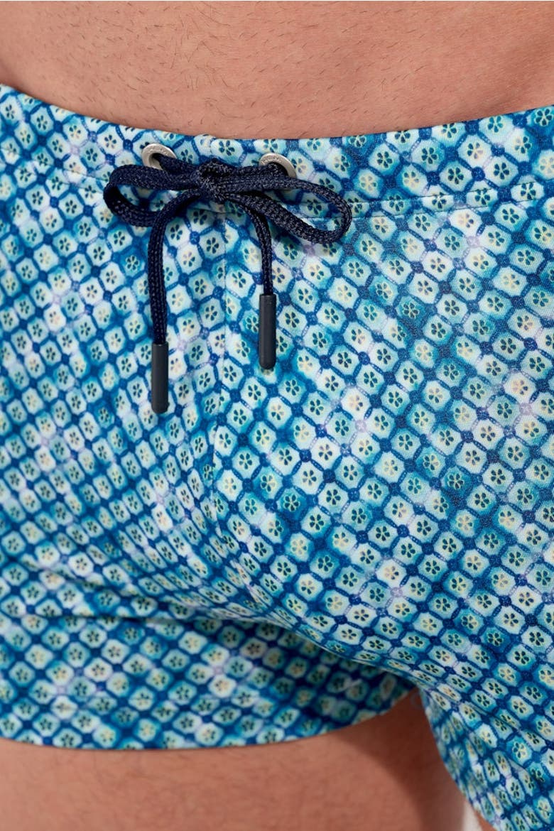 Camaiore Swim Shorts, Alternate, color, Blue Print