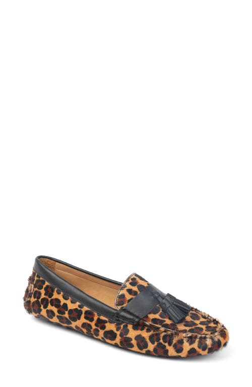 Patricia Green Jordan Moc Toe Tassel Loafer In Brown