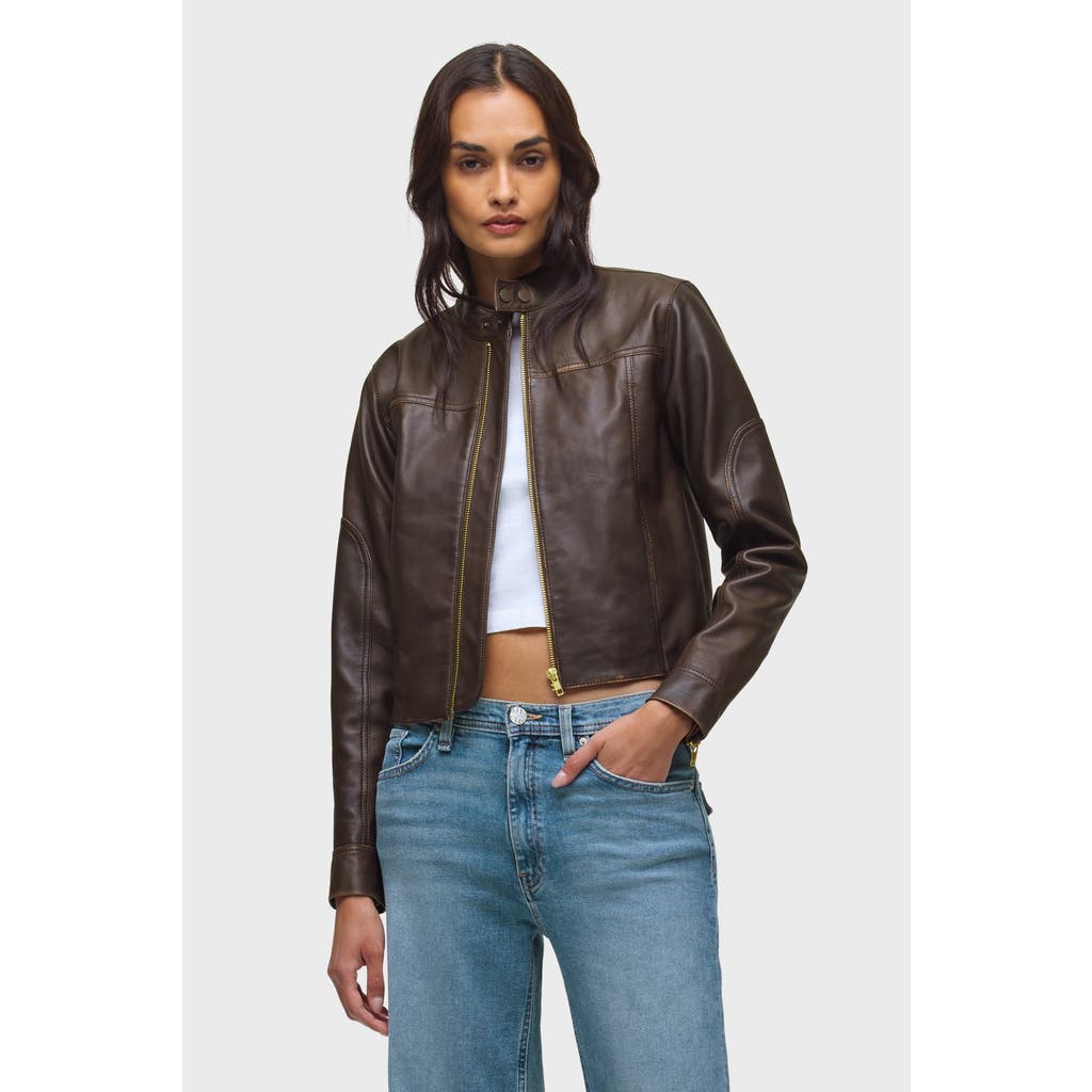 Hudson Jeans Moto Jacket In Brown