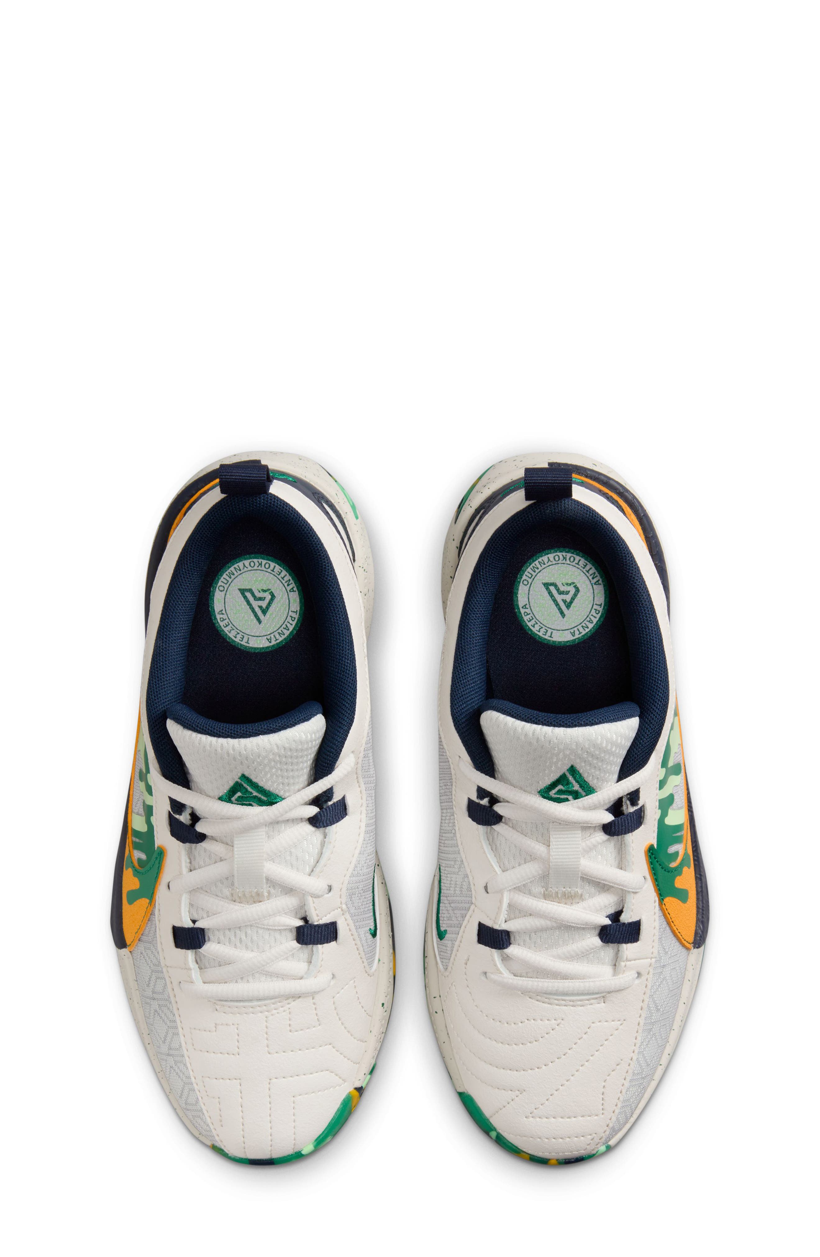 Nike Kids' Giannis Freak 5 SE Basketball Shoe, Alternate, color, 