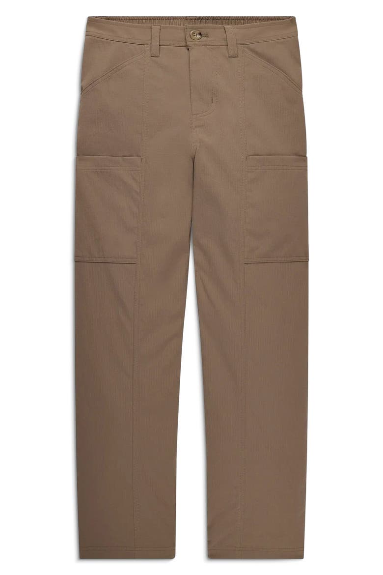 Topogrid Water Resistant Pants, Alternate, color, FOSSIL