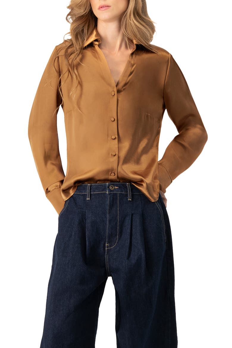 Solid Long Sleeve Satin Shirt, Main, color, Brown