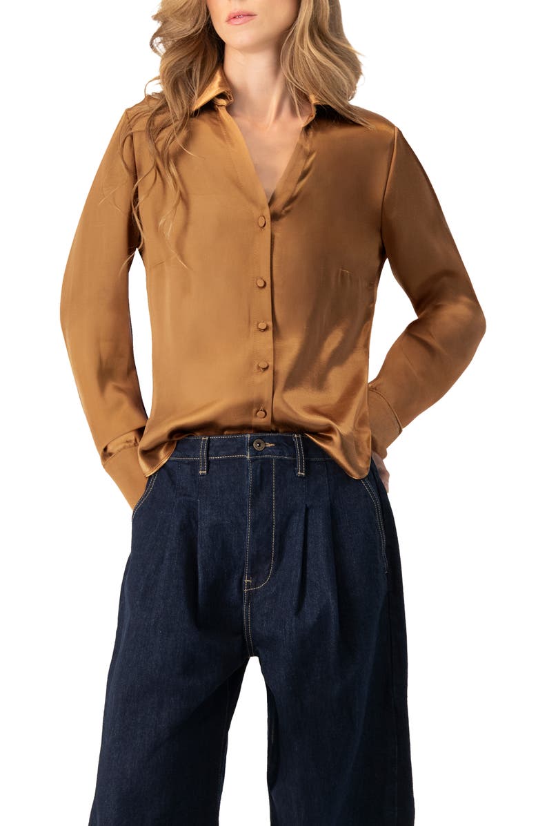 IVONNE Solid Long Sleeve Satin Shirt, Main, color, Brown
