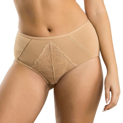 Parfait Charlene High Waist Brief In Brown