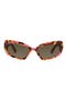 selected Havana/ Brown