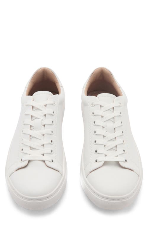 Mango Low Top Sneaker In White