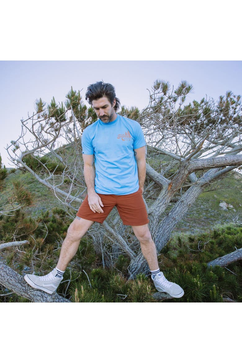 In A Pine T-Shirt - Men's, Alternate, color, Blue Bay