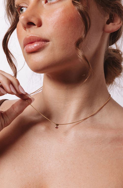 Set & Stones Ellie Birthstone Pendant Necklace In Gold