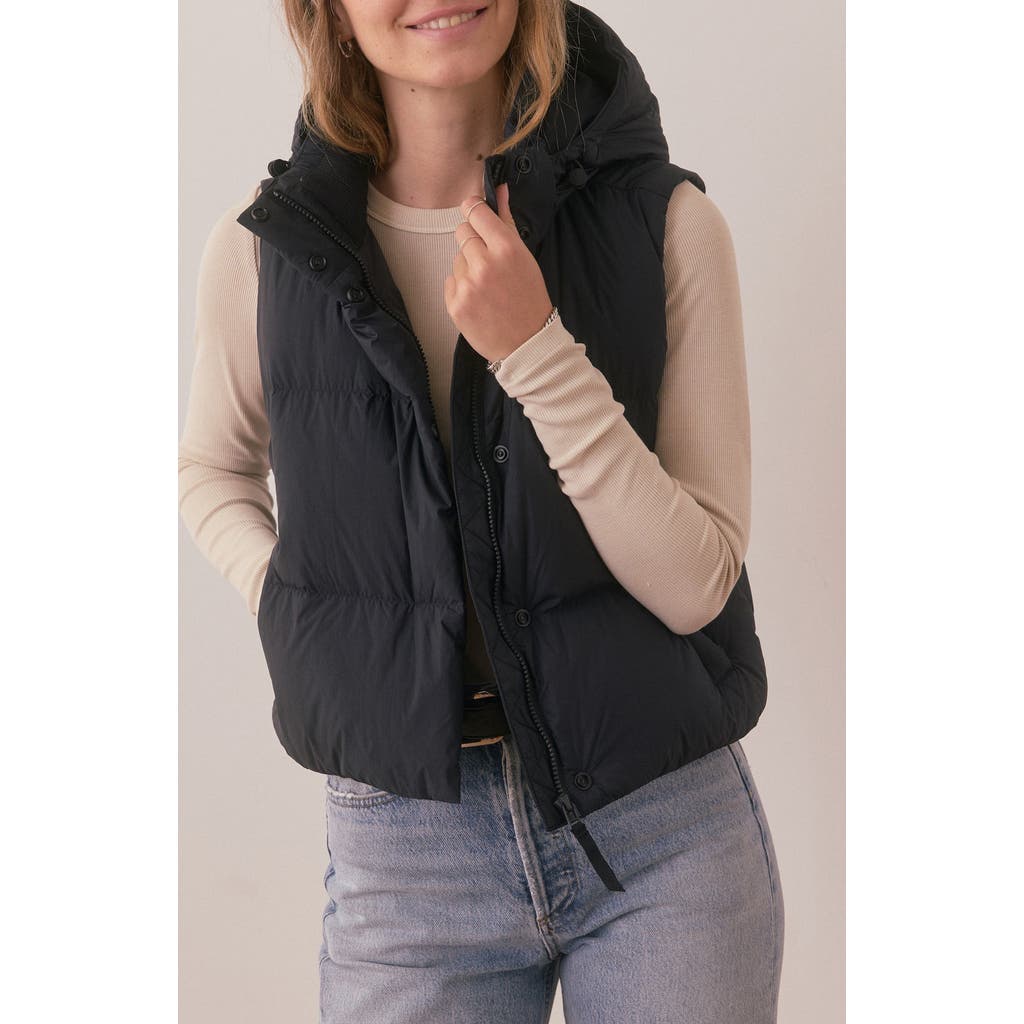 Marine Layer Zoe Hooded Puffer Vest In Black