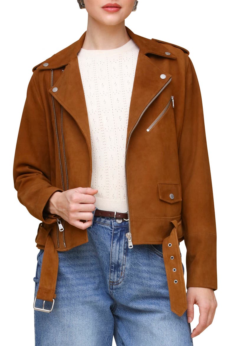 Belted Suede Moto Jacket, Main, color, CAMEL