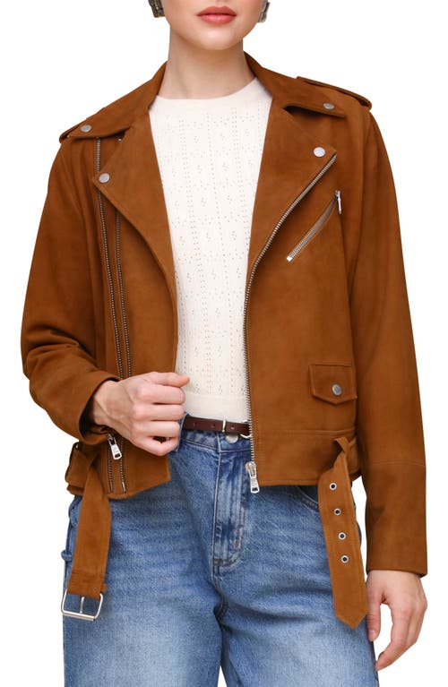 Avec Les Filles Belted Suede Moto Jacket In Camel