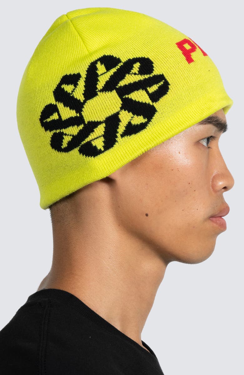 PLEASURES Service Skully Beanie, Alternate, color,