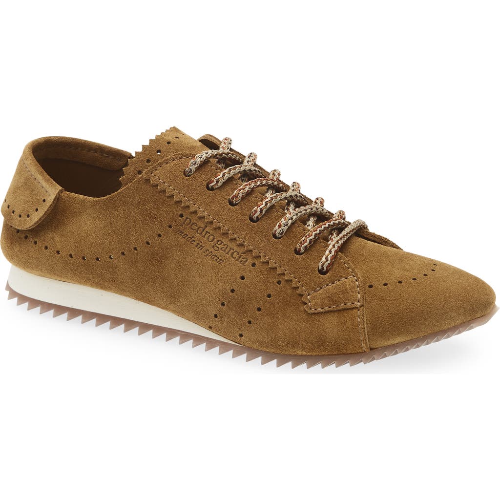 Pedro Garcia Celin Sneaker In Brown