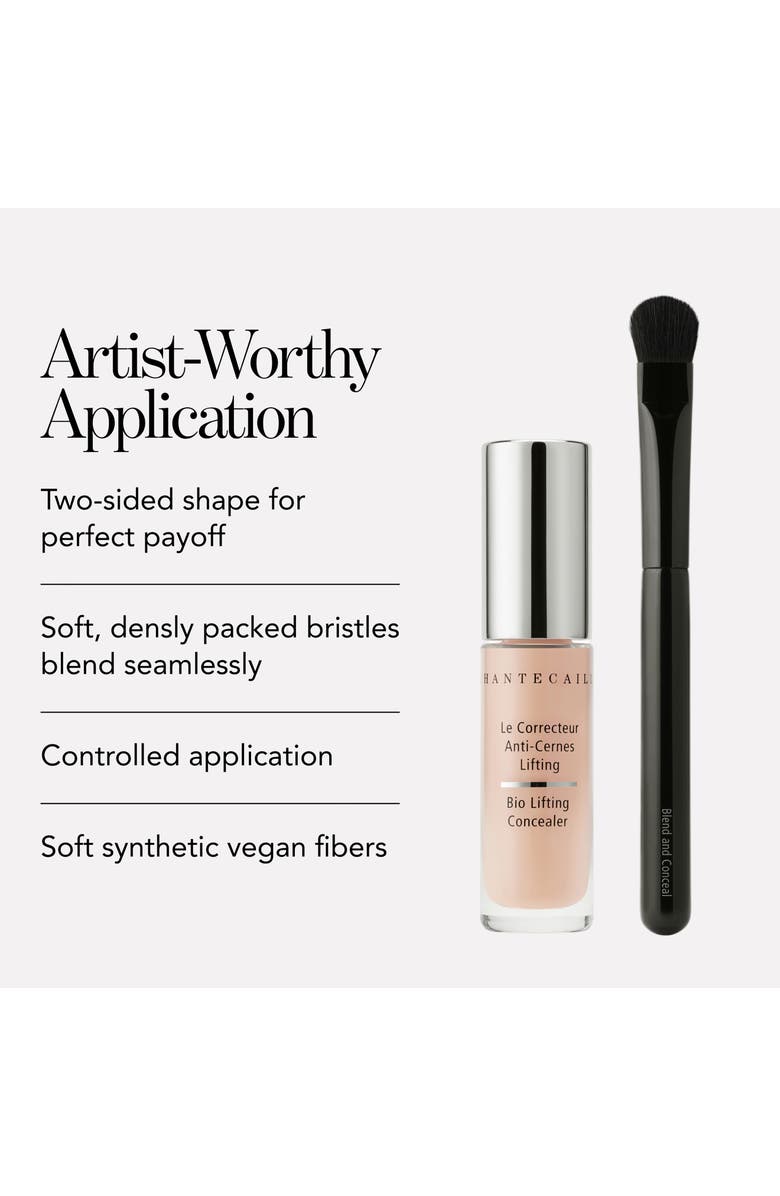 Chantecaille Blend & Conceal Brush, Alternate, color, 