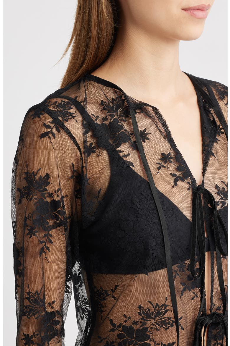 Camille Velvet Trim Sheer Crop Top, Alternate, color, BLACK LACE