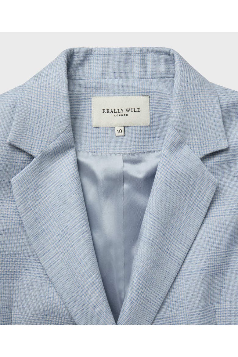 Egerton Linen Blend Jacket, Alternate, color, Blue And Cream Check