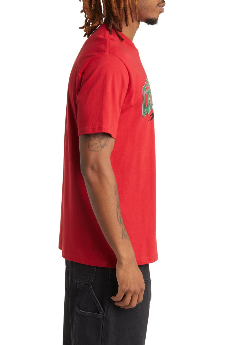 Carhartt Work In Progress Mountain College Organic Cotton Graphic T-Shirt, Alternate, color,
