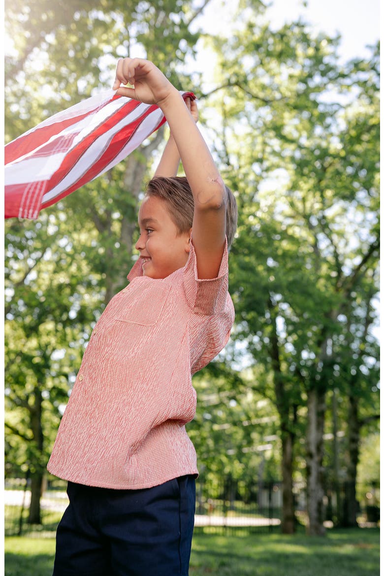 Baker Top, Alternate, color, Red Gingham