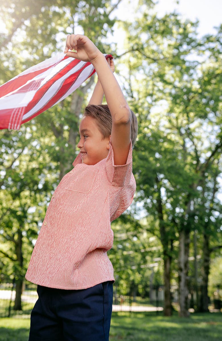 Little Paper Kids Baker Top, Alternate, color, Red Gingham