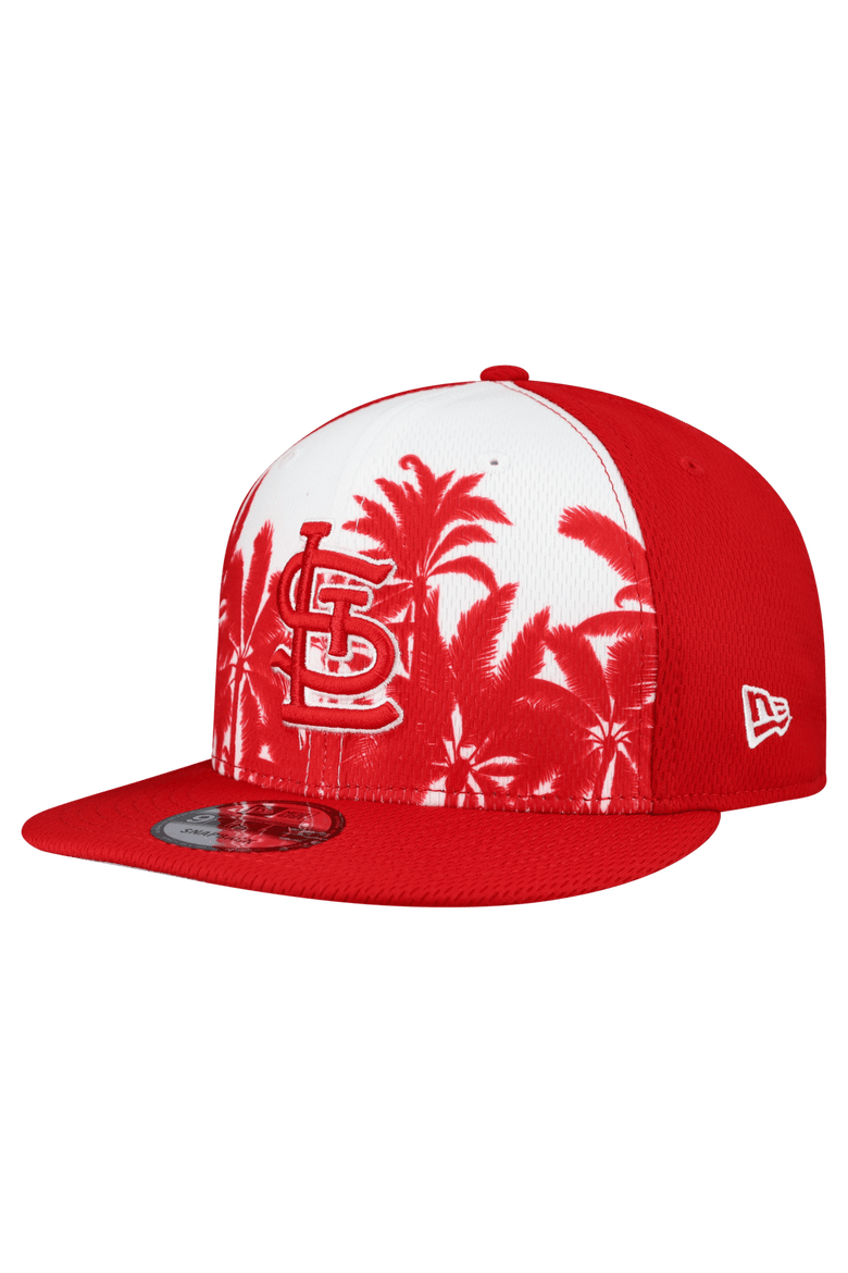 Men's New Era  Red St. Louis Cardinals 2026 Spring Training Fan Pack Grow 9FIFTY Snapback Hat, Main, color, Red
