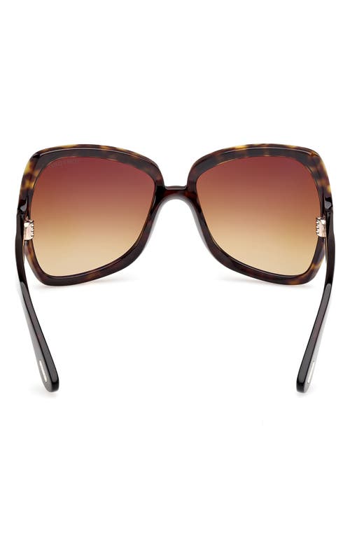TOM FORD TOM FORD JERRY 60MM GRADIENT BUTTERFLY SUNGLASSES