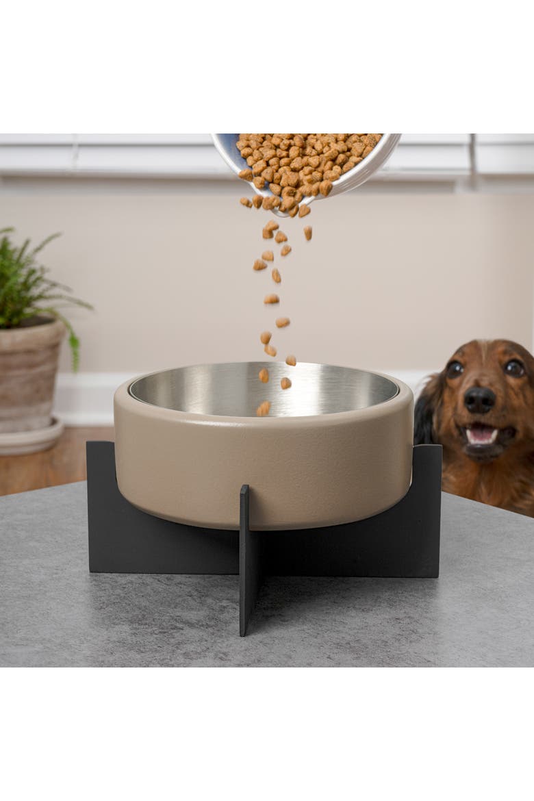 Intersecta Concrete and Stainless Steel Bowl with Metal Stand Pet Feeder, Alternate, color, Brown/Black