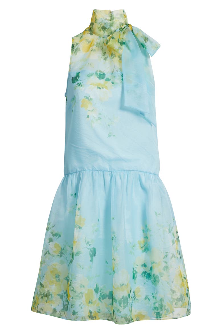 Placed Floral Drop Waist Cocktail Dress, Alternate, color, BLUE YELLOW