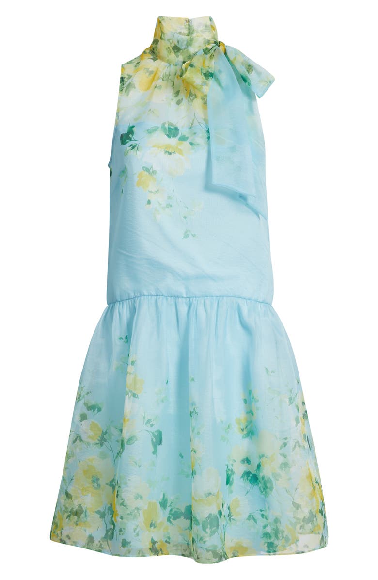 Julia Jordan Placed Floral Drop Waist Cocktail Dress, Main, color, 