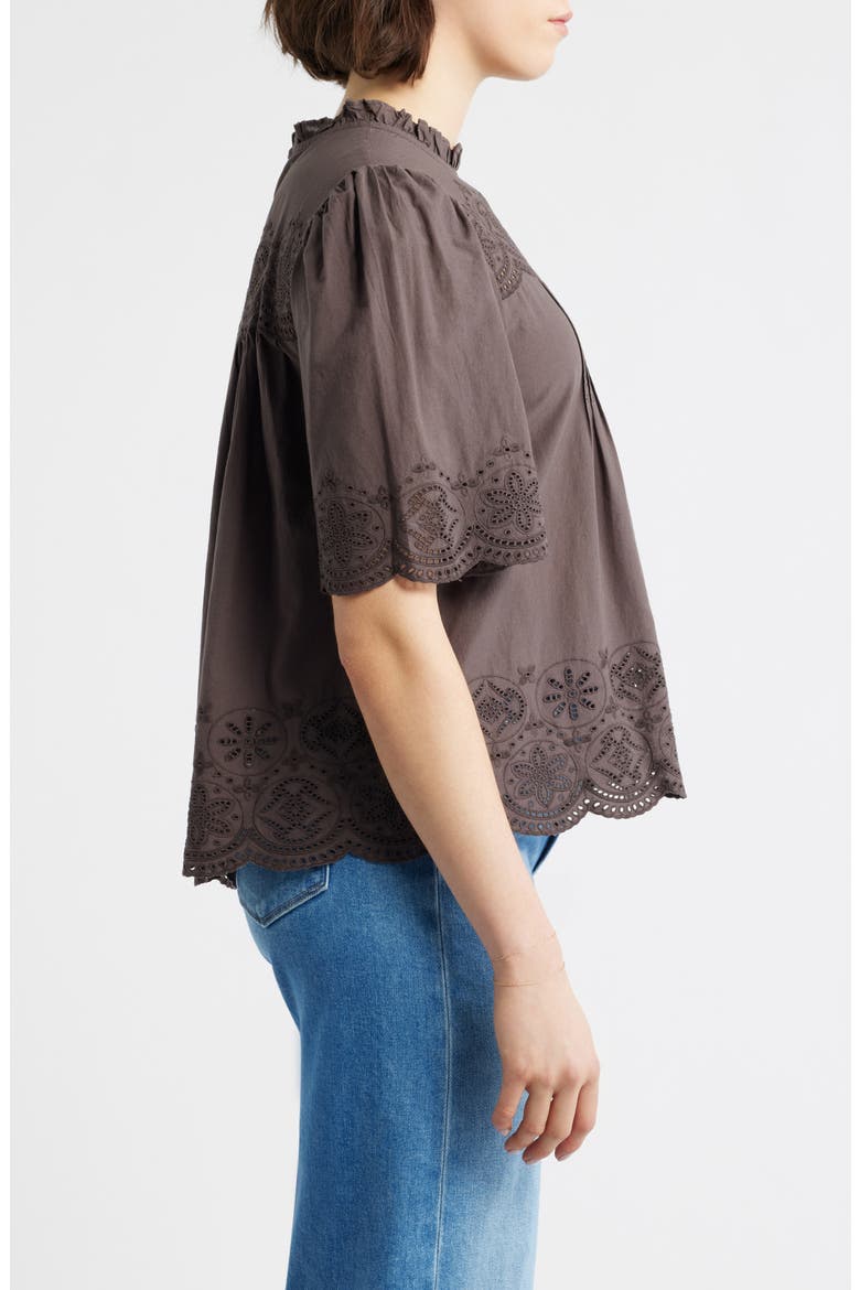 Embroidered Pintuck High Neck Cotton Voile Top, Alternate, color, CHOCOLATE PLUM