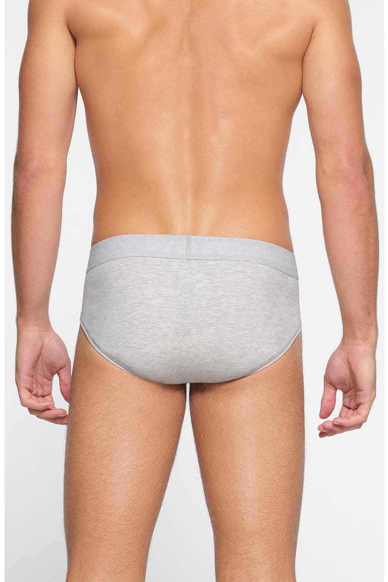 Cotton & Modal Blend Briefs, Alternate, color, LIGHT HEATHER GREY