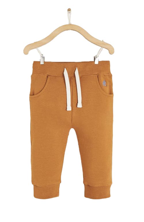 Babycottons Merlin Printed Jogger In Camel
