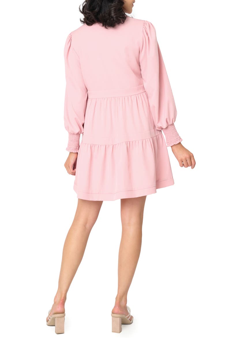 Long Sleeve Minidress, Alternate, color, ROSE