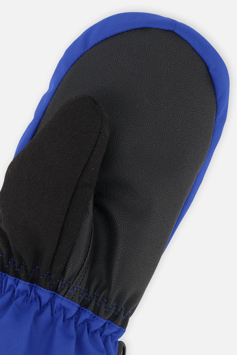 Stripes Teknik Waterproof Cordura Reinforced Winter Mittens, Alternate, color, Blue with Black Stripes