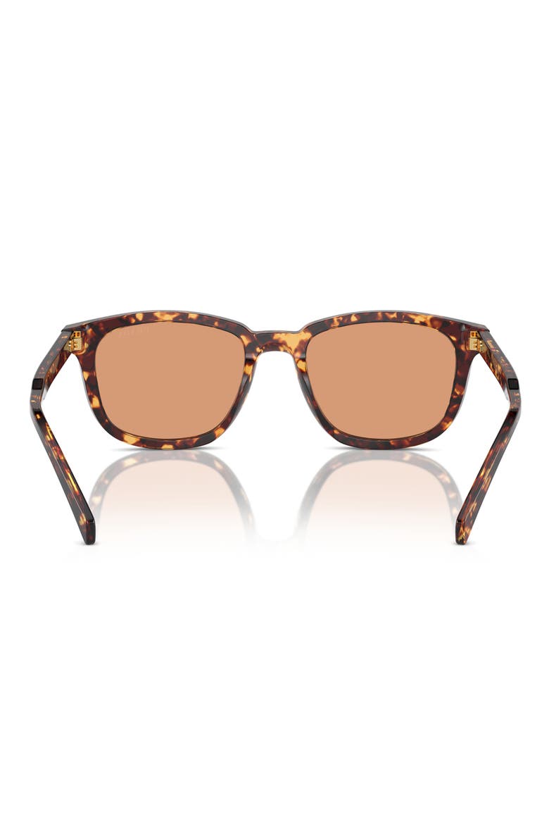 55mm Pillow Sunglasses, Alternate, color, HAVANA/ ORANGE
