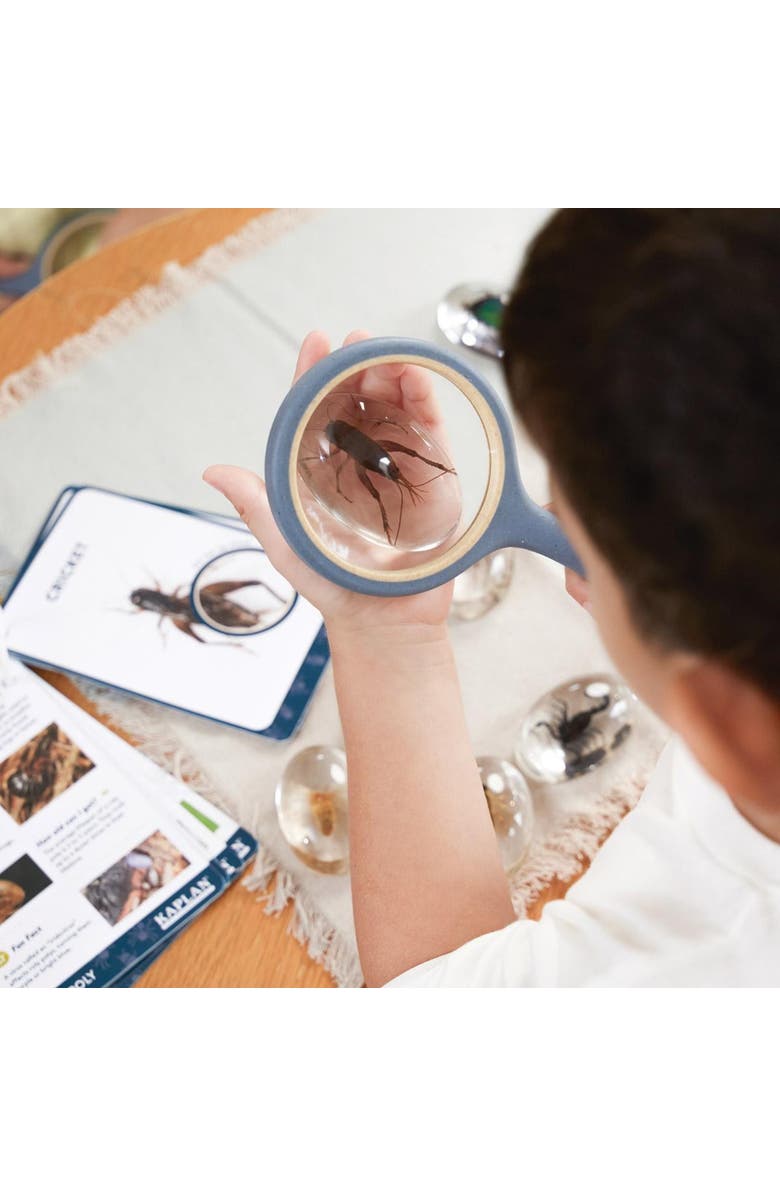 Kaplan Early Learning Company Specimen Stones Bugs - 9 Pieces, Alternate, color, Clear
