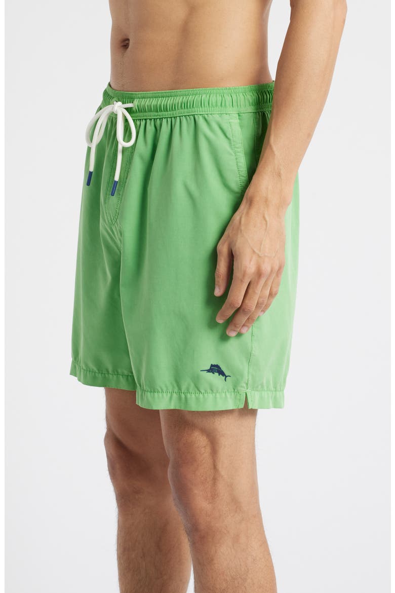Naples Valley Garment Dyed 6-Inch Performance Swim Trunks, Alternate, color, GLOWSTICK