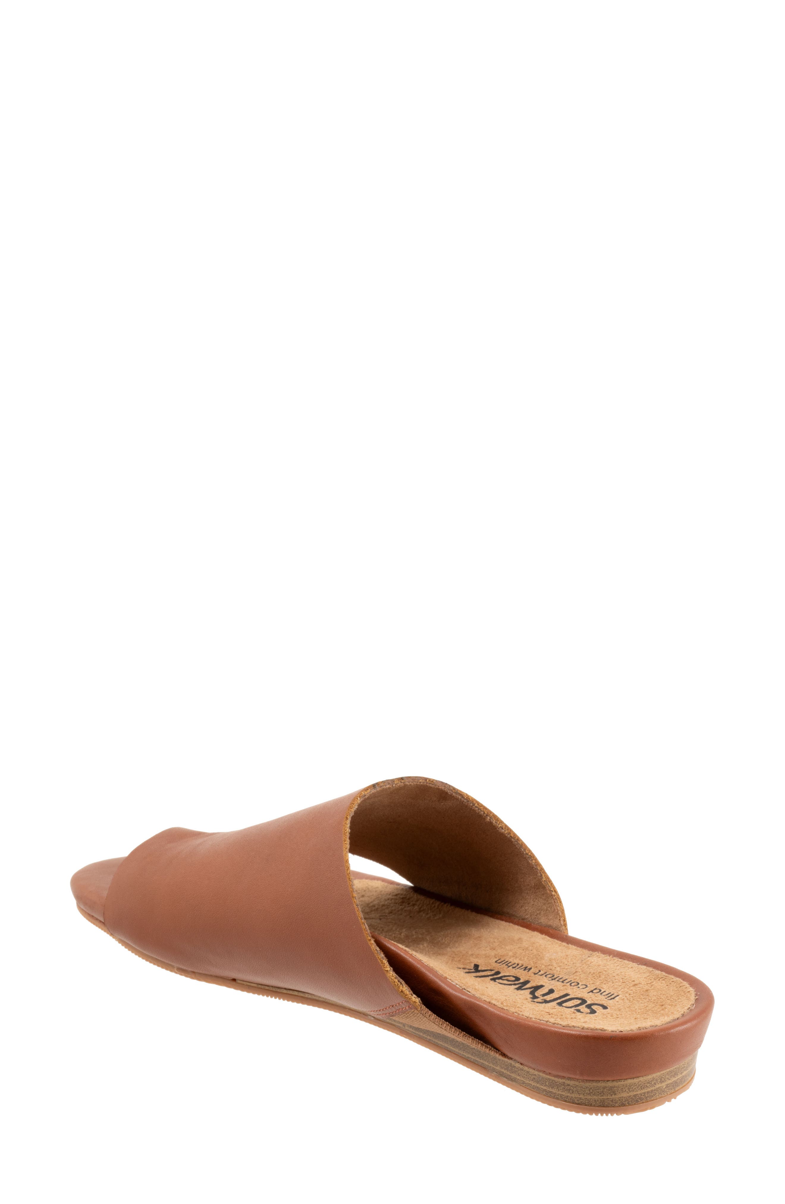 Corsica 2.0 Toe Loop Sandal, Alternate, color, LUGGAGE