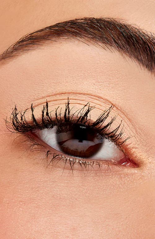 Sigma Beauty Eyeshadow Base Primer