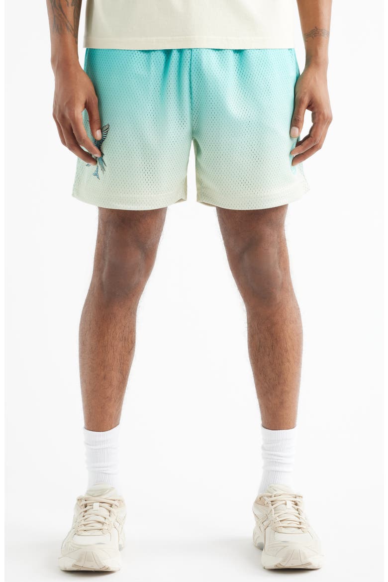 Summer Mesh Shorts, Main, color, BLUE
