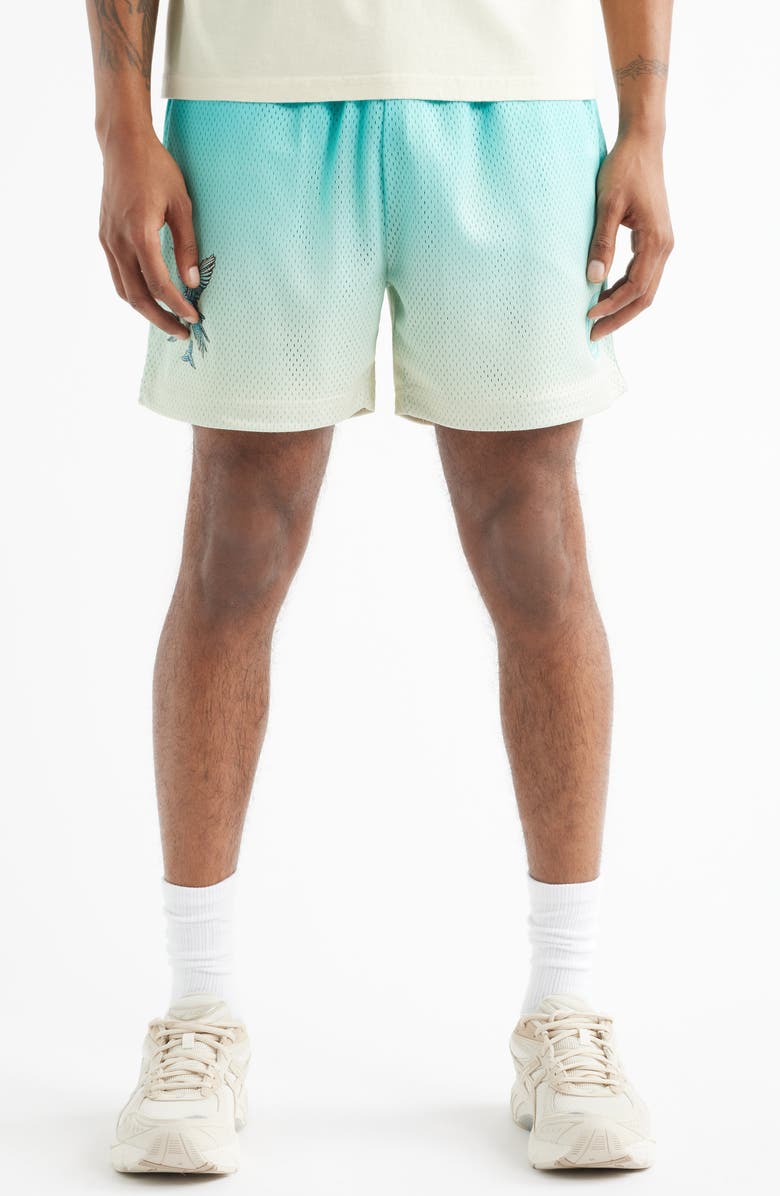 OVERTIME Summer Mesh Shorts, Main, color, Blue