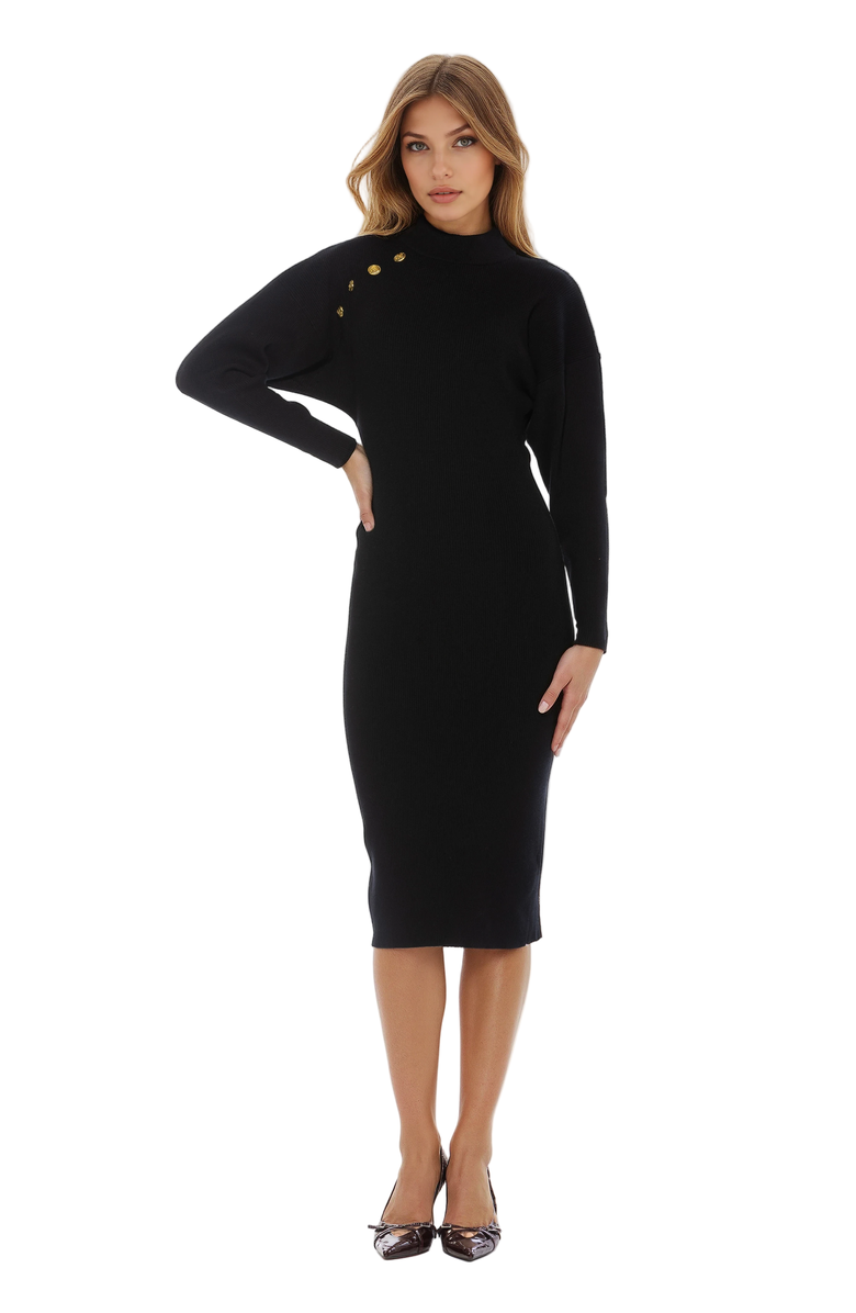 Alexia Admor Indigo Dress, Main, color, Black
