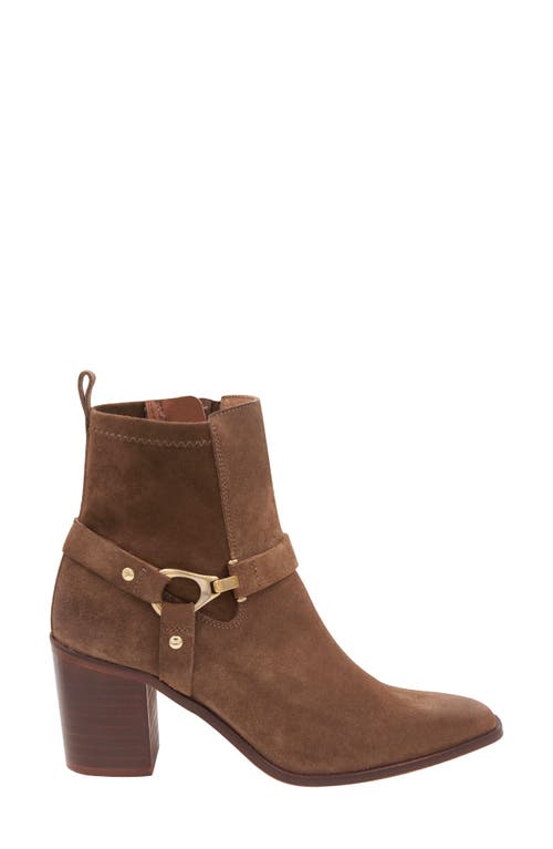 Andre Assous Andres Assous Women's Royal Harness Boots In Caramel Cafe